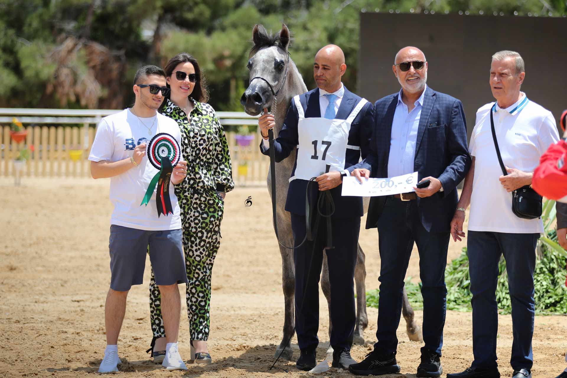 Arayby Stud